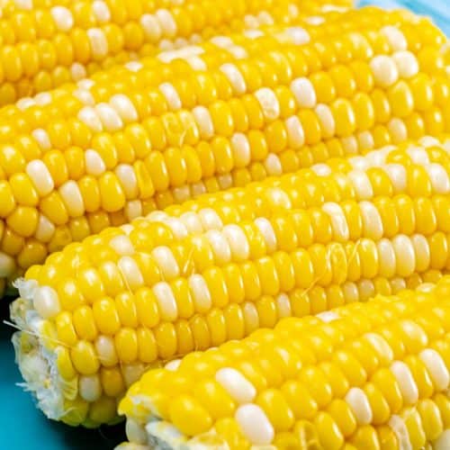Instant Pot Corn On The Cob on blue plate