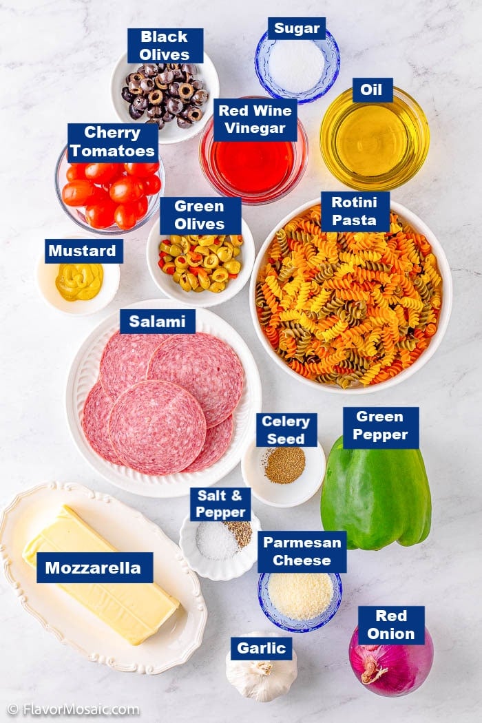 A variety of Tri Color Rotini Pasta Salad ingredients arranged on a white surface, including rotini pasta, green and black olives, cherry tomatoes, green pepper, red onion, salami, mozzarella, parmesan, garlic, oil, red wine vinegar, sugar, mustard, celery seed and seasonings.