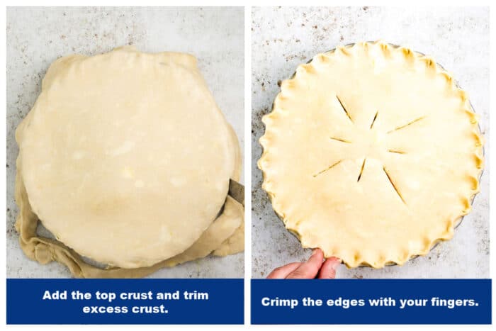 Homemade Pie Crust (From Scratch!) - Flavor Mosaic