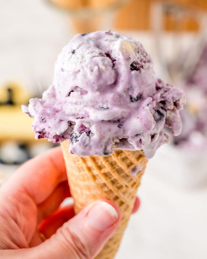 Holding ice cream cone with Blueberry Cheesecake Ice Cream.