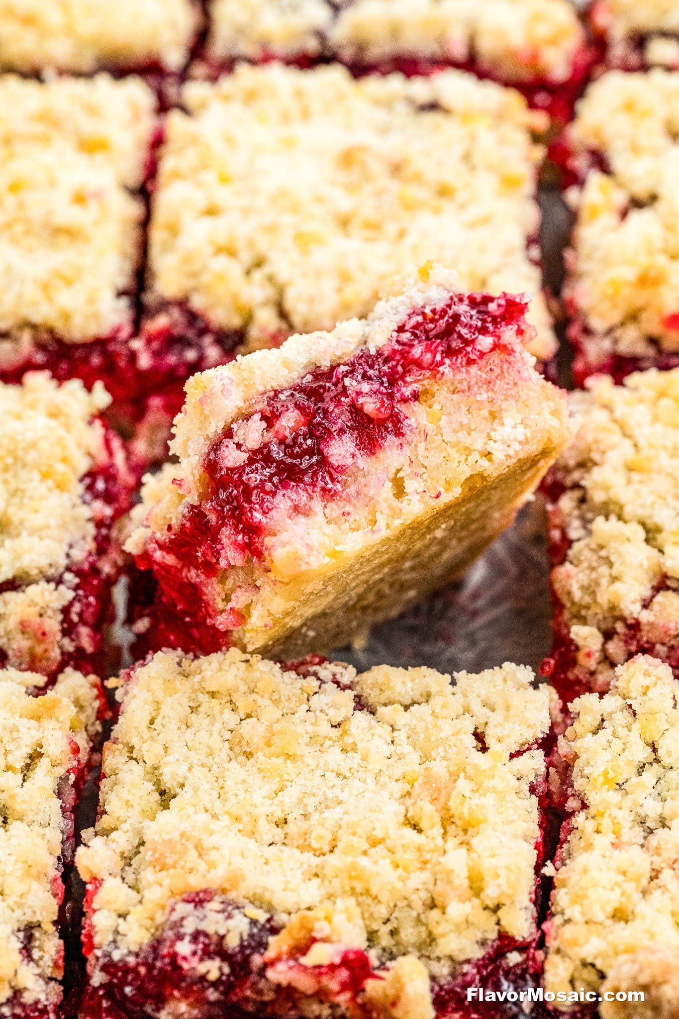 Close-up of crumbly, golden Cranberry Crumb Bars, with one bar standing upright to showcase its thick fruit filling nestled between layers of buttery crumble. The bars are cut into squares and tightly arranged.