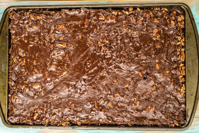 A large baking sheet filled with rich, glossy chocolate sheet cake topped with chocolate icing and sprinkled with chopped pecans.